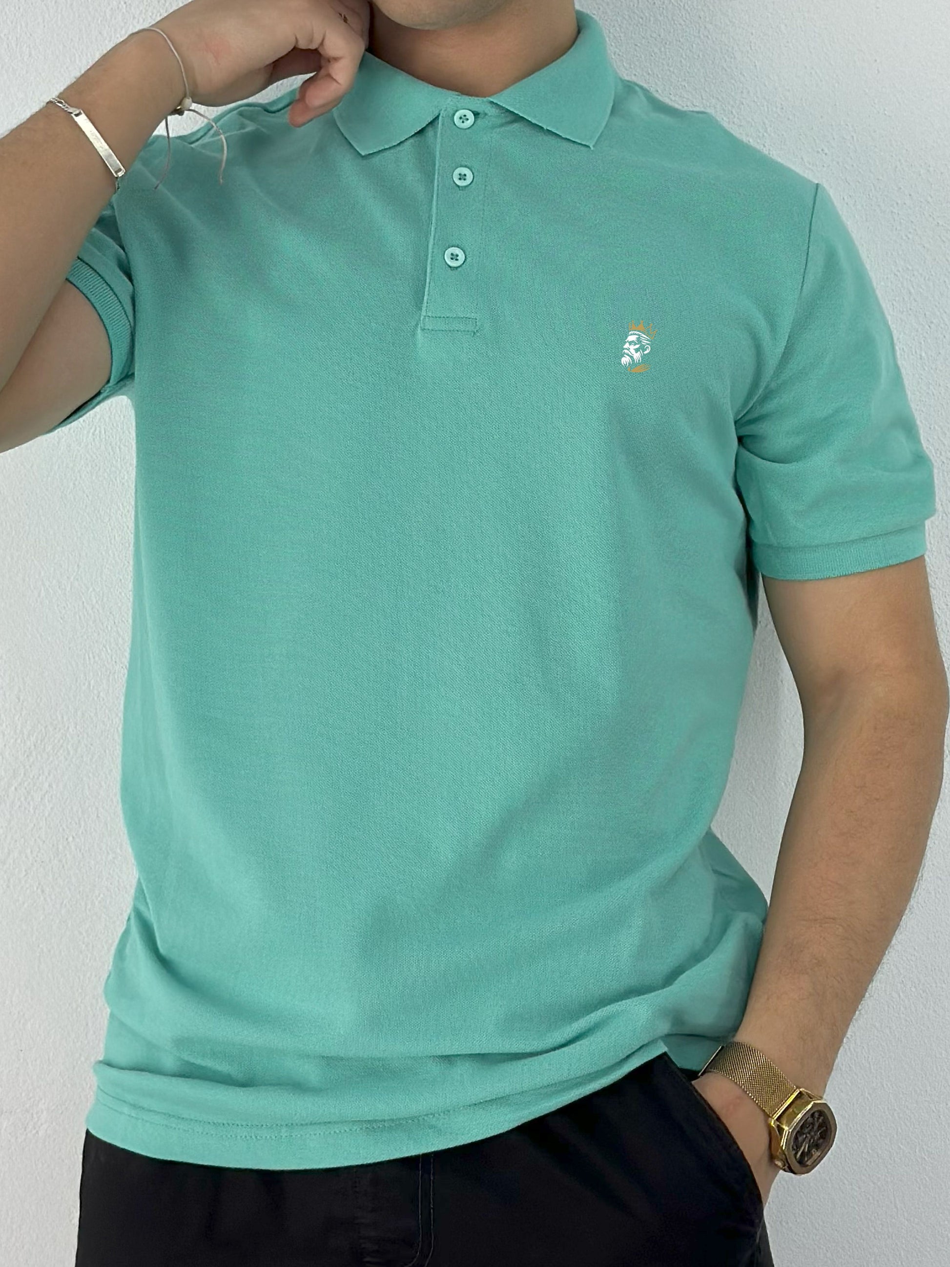 POLO DEMI MANCHE (POLO0001)