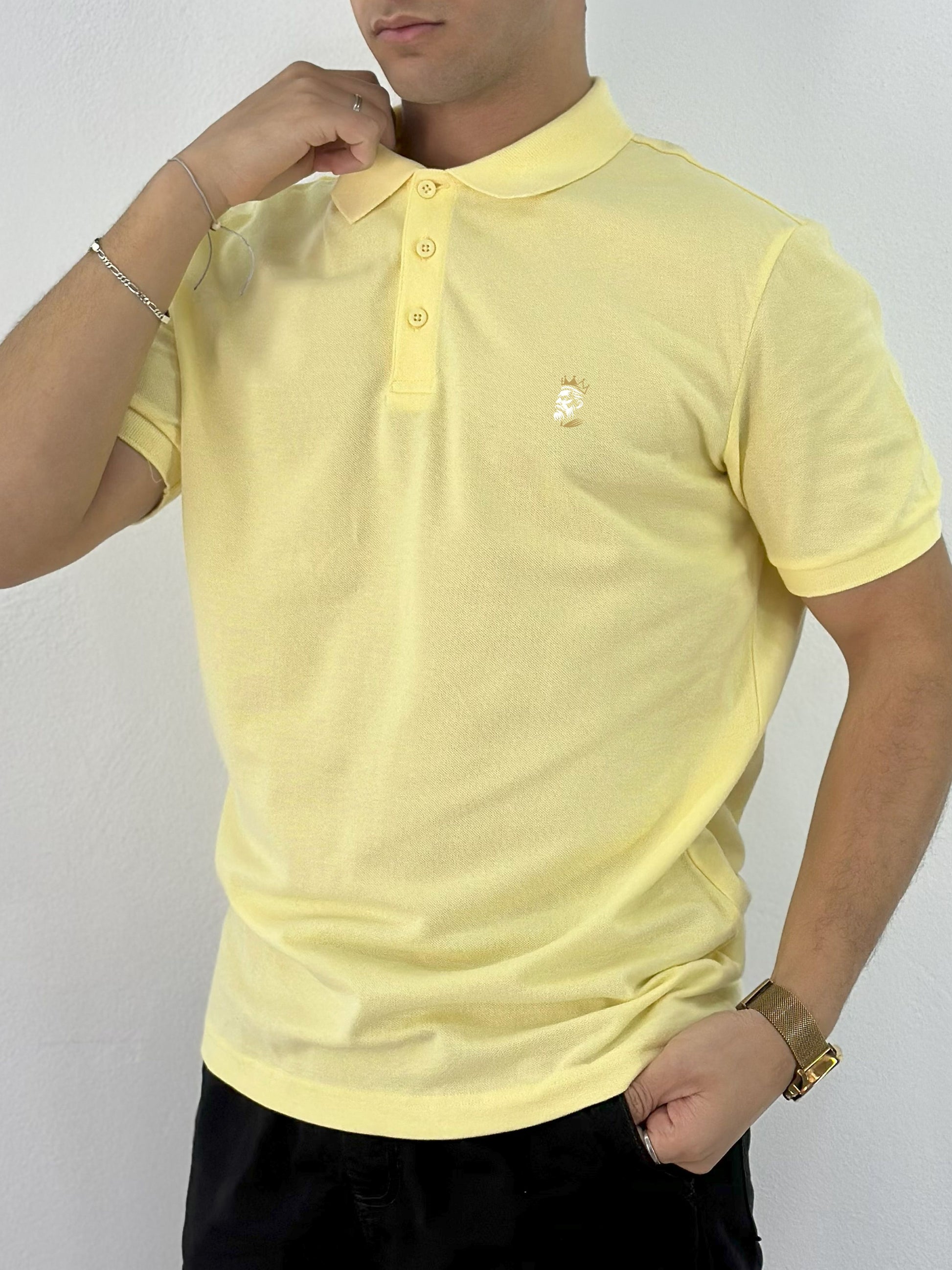 POLO DEMI MANCHE (POLO0001)