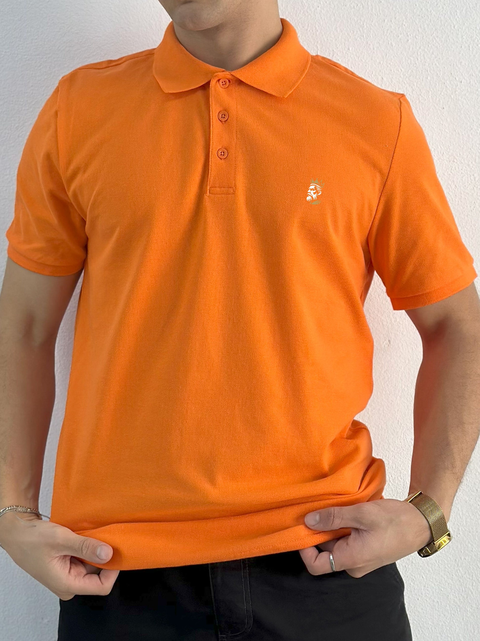 POLO DEMI MANCHE (POLO0001)