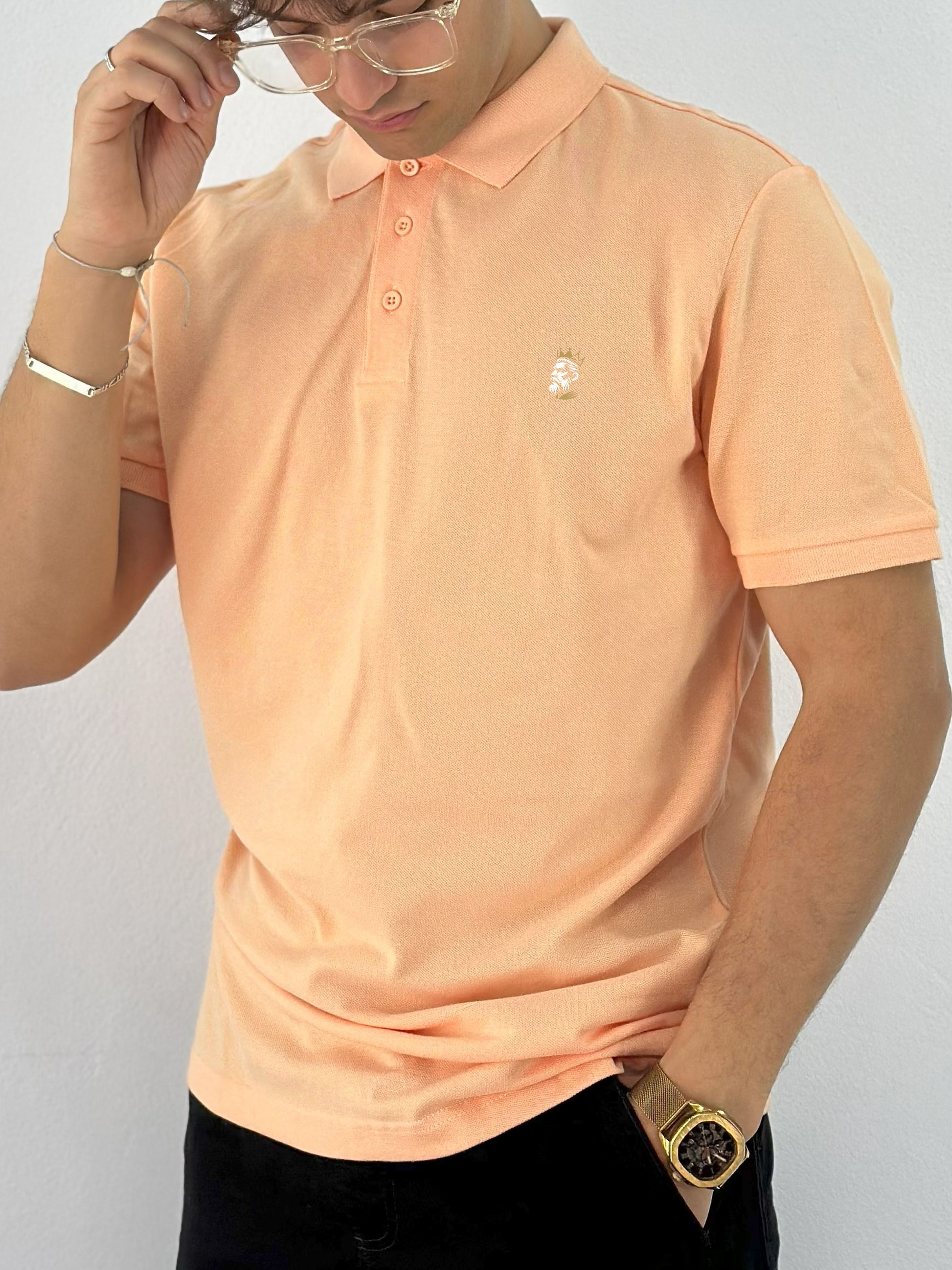 POLO DEMI MANCHE (POLO0001)